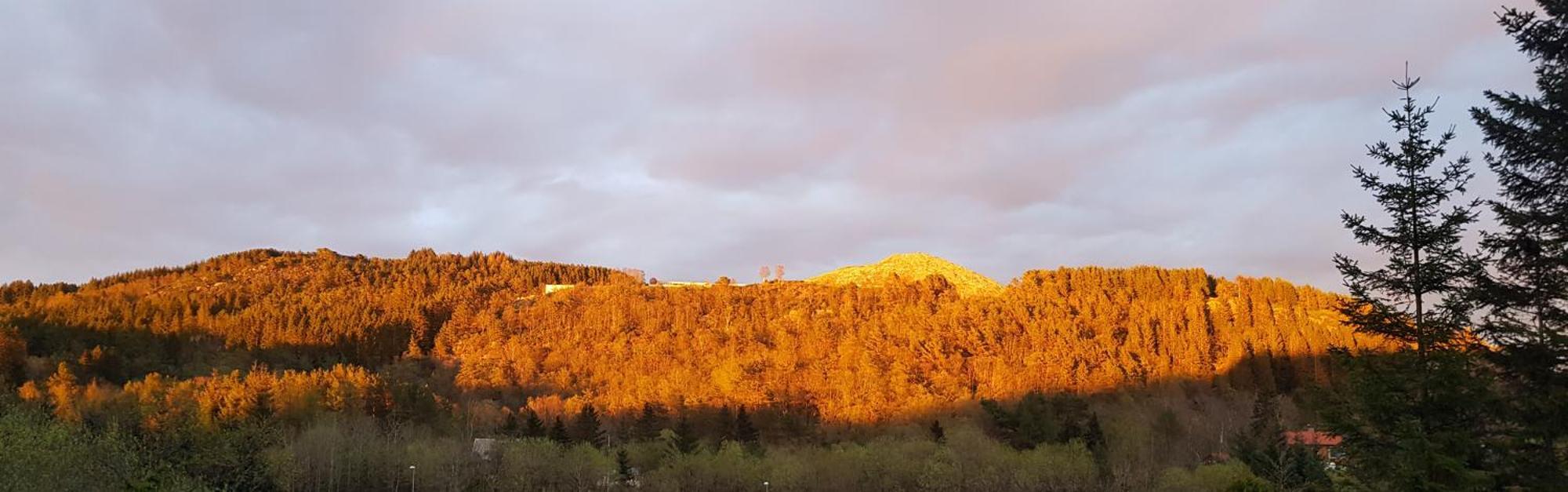 Fjordclaw Snm- Adjoining The Bergen City & Nature Dış mekan fotoğraf